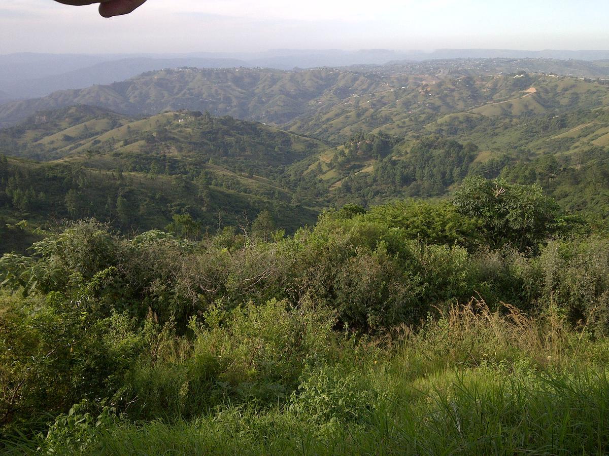 Phezulu Safari Park Villa Botha's Hill Kültér fotó