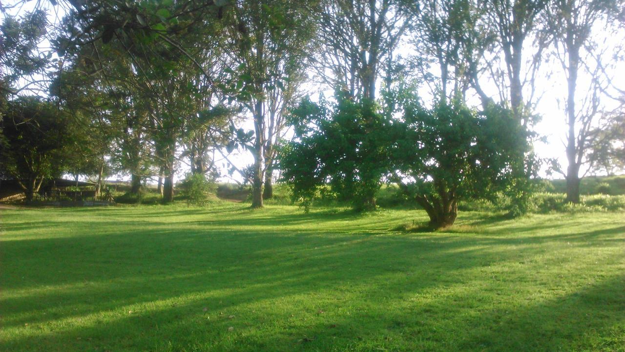 Phezulu Safari Park Villa Botha's Hill Kültér fotó